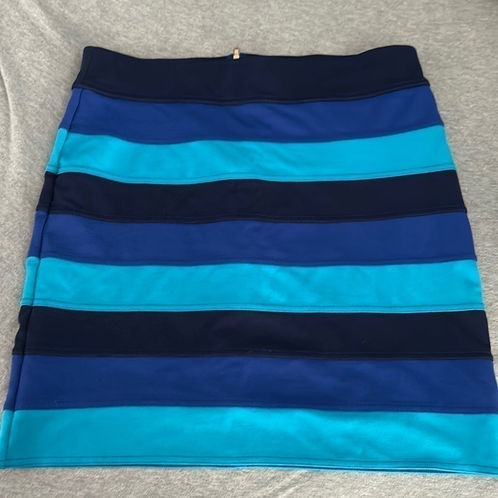 Lilly Pulitzer Blue Striped Skirt size L